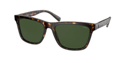 500371 Shiny Dark Havana Wimbledon Frame | Dark Green Lens