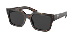 2AU08G Tortoise Frame | Polar Black Lens