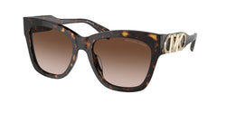 300613 Dark Tortoise Frame | Brown Gradient Lens