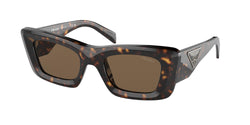 2AU06B Tortoise Frame | Dark Brown Lens