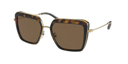 336373 Dark Tortoise Frame | Dark Brown Lens