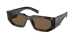 2AU06B Tortoise Frame | Dark Brown Lens