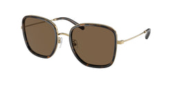 336373 Dark Tortoise Frame | Brown Gradient Lens