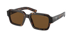 2AU01D Tortoise Frame | Polar Brown Lens