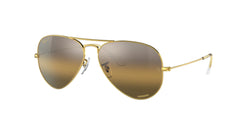 9196G5 Legend Gold Frame | Silver/Brown Lens