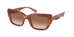 601113 Shiny Orange Havana Frame | Gradient Brown Lens