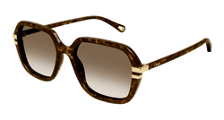 Havana 002 Frame | BROWN Lens