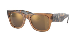 663693 Transparent Brown Frame | Gold Lens