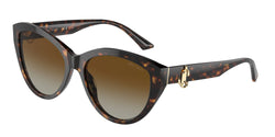 Havana Frame | Polarized Gradient Brown Lens