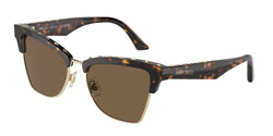 Havana / Pale Gold Frame | Dark Brown Lens