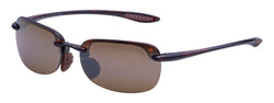 H408N-10 Tortoise Frame | HCL Bronze Lens