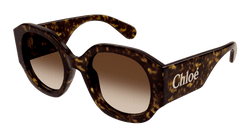 Havana 002 Frame | BROWN Lens