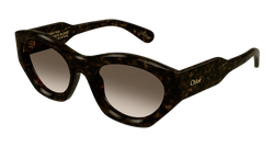 Havana 002 Frame | BROWN Lens