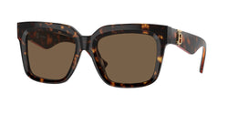 Dark Havana Frame | Dark Brown Lens