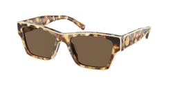 Tortoise Ivory Frame | Dark Brown Lens