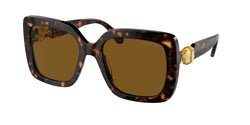 Havana Frame | Polarized Brown Lens