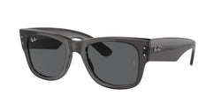 Transparent Black Frame | Dark Grey Lens