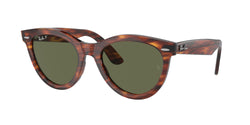 Striped Havana Frame | Green Lens