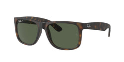 Havana Frame | Dark Green Lens