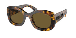 Honey Tortoise Frame | Dark Brown Lens