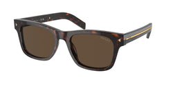 Radica Tortoise Frame | Dark Brown Lens