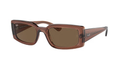 Transparent Brown Frame | Dark Brown Lens