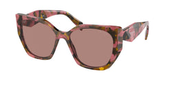 Tortoise Cognac Begonia Frame | Light Brown Lens