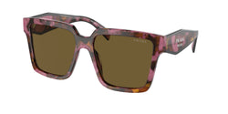 Tortoise Cognac Begonia Frame | Dark Brown Lens