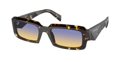 Black Malt Tortoise Frame | Clear Fifty Yellow/Dark Blue Lens