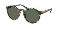 500471 Shiny Tortoise Brown Frame | Dark Green Lens