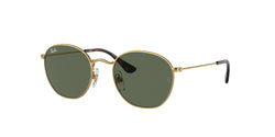 Gold Frame | Dark Green Lens