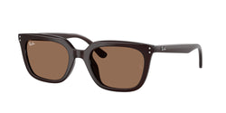 Opal Brown Frame | Dark Brown Lens