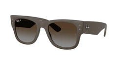 Sand Brown Frame | Polar Brown Gradient Lens