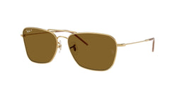 Arista Gold Frame | Polar Dark Brown Lens