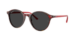 Transparent Shade Fantasy Red Frame | Polar Black Lens