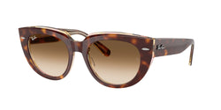 Light Havana On Transparent Multicolor Frame | Clear Gradient Brown Lens