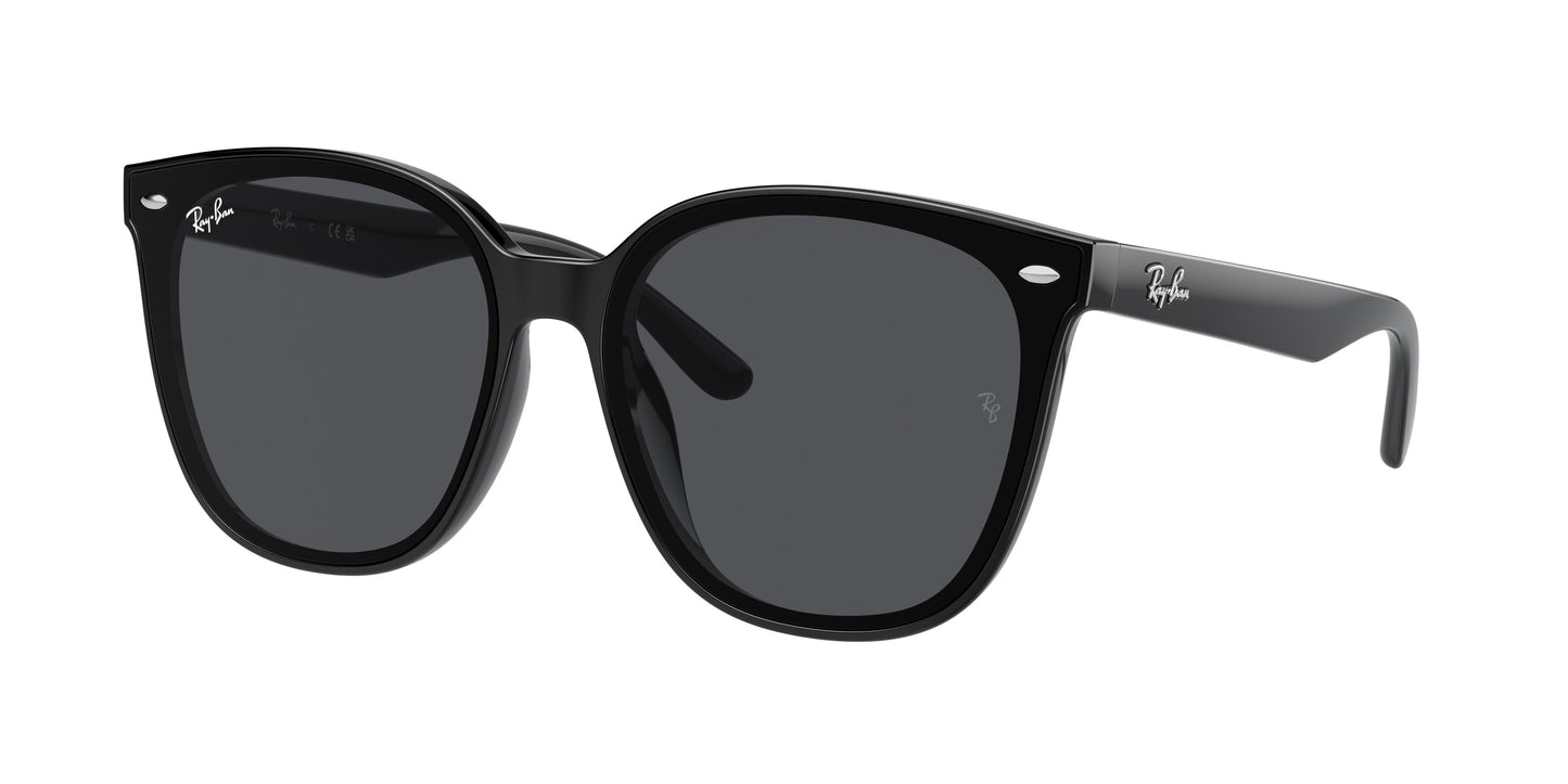 Ray-Ban RB4423D