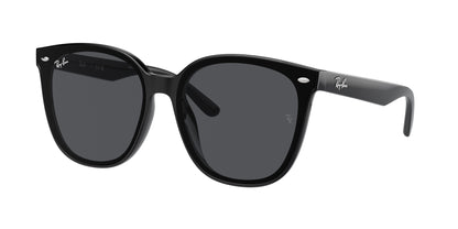 Ray-Ban RB4423D