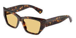 Havana Frame | Orange Lens