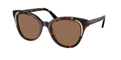 Dark Havana Frame | Dark Brown Lens