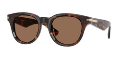 Dark Havana Frame | Dark Brown Lens