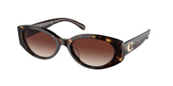 512013 Dark Tortoise Frame | Dark Brown Gradient Lens