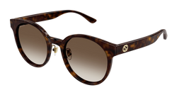 Havana 003 Frame | BROWN Lens