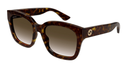 Havana 003 Frame | BROWN Lens