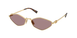 Gold Frame | Light Purple Brown Lens