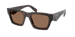 Root Tortoise Frame | Dark Brown Lens