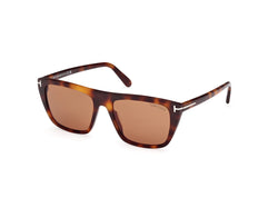 Blonde Havana / Blonde Havana Frame | Brown Brown Lens