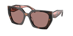 Mauve Tortoise Frame | Light Brown Lens