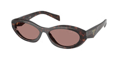 Root Tortoise Frame | Light Brown Lens