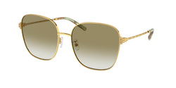 Gold Frame | Clear Gradient Dark Green Lens